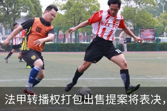 法甲转播权打包出售提案将表决，自营平台年入不足9000万欧